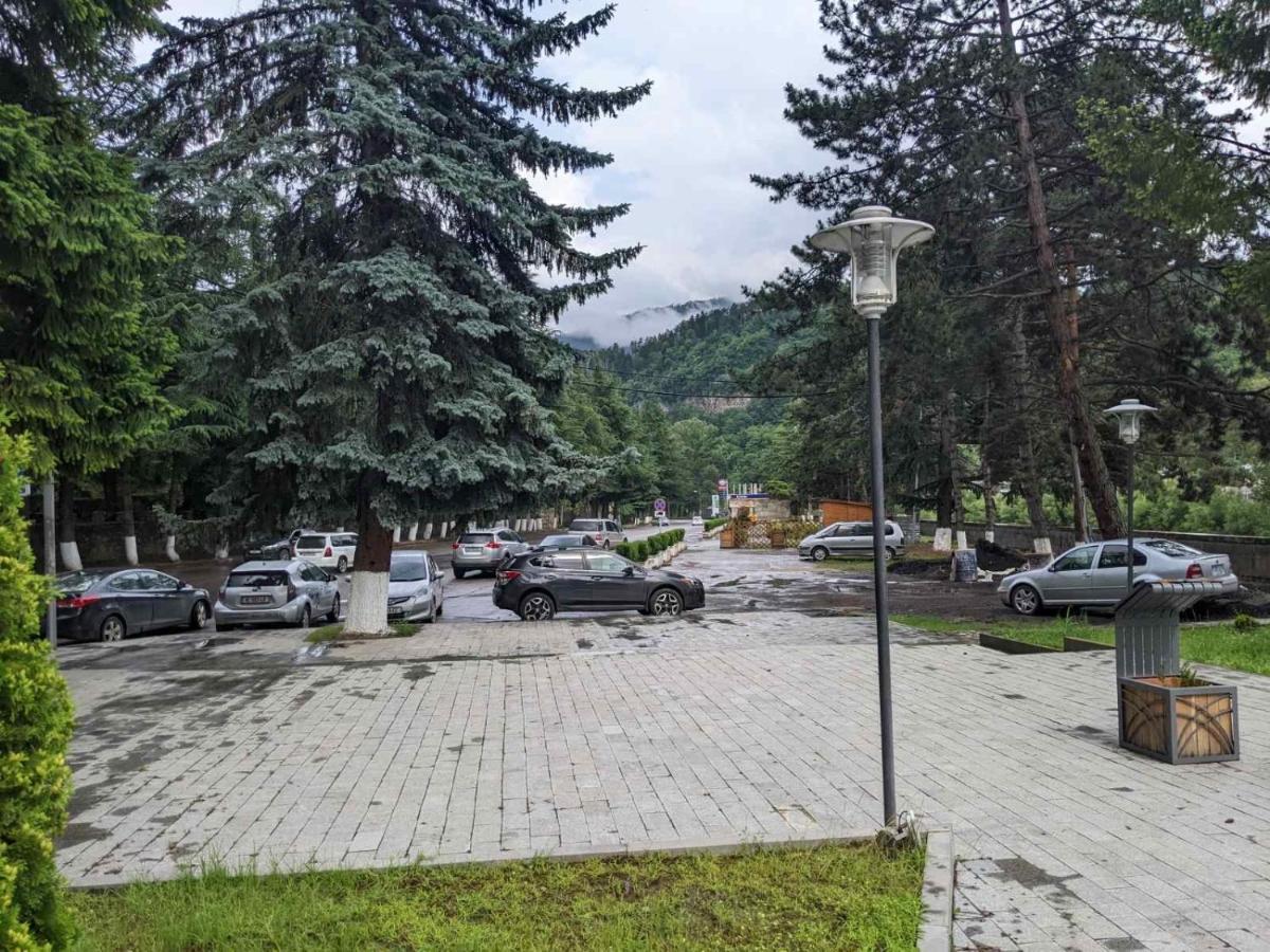 Riverside Borjomi Eksteriør bilde